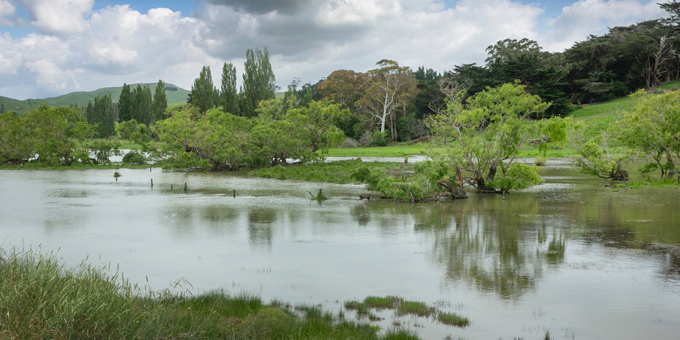 What risks should Kiwi businesses be aware of in 2024?